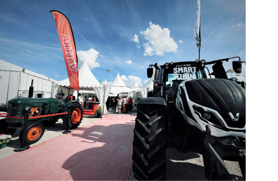 2 - Foire (4)