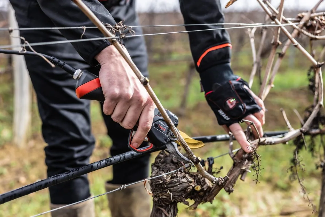 secateur infaco chez bocart dans la marne