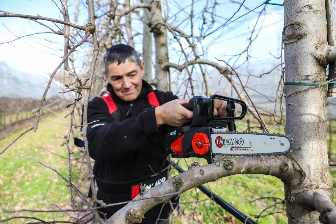 elagueuse infaco chez bocart dans la marne